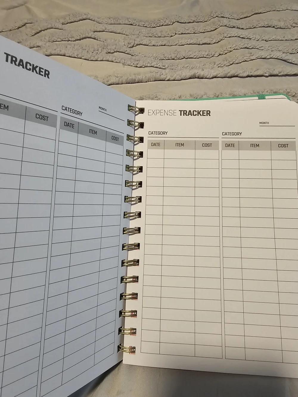 Colibri Paper Co. Budget Planner